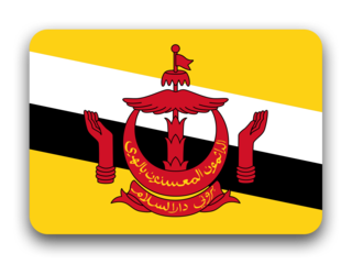 Bandera de Brunei Darussalam