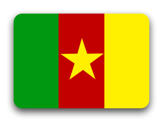 Bandera de Camerún